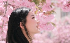 拜托小姐 中文版全集